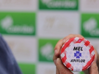 Mel Apiflor - Soja - Flor da soja alimenta abelhas e produzem mel de qualidade - Luiz Carlos Matte - Produtor rural e apicultor em São Gabriel - RS - 16:9