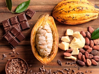 cacau-