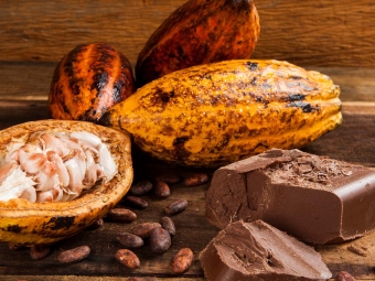 cacau e chocolate