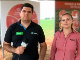 Letícia Wendt - Representante Comercial Intacta 2 Xtend