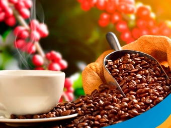cafe-13