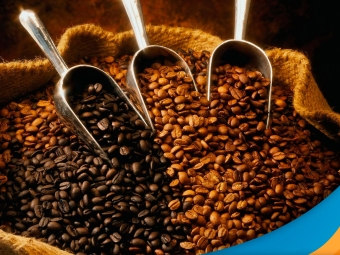 cafe-3