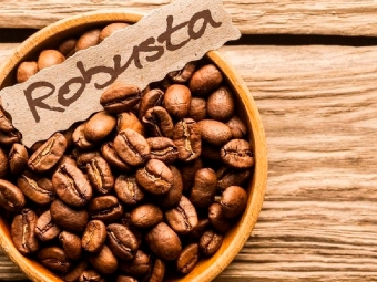 cafe robusta