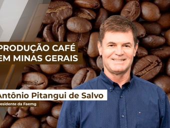 Café26 yt