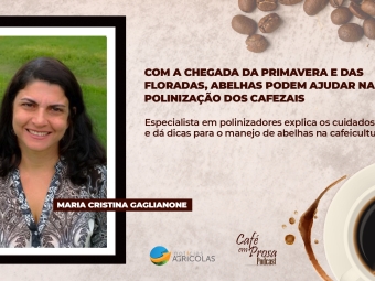 Cafépodcast tamplate