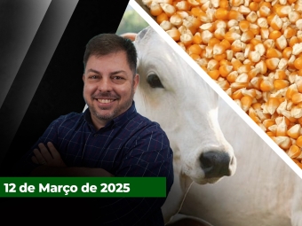 CAPA DO YOUTUBE FECHA ALEKS (1)
