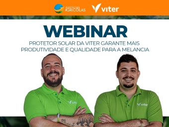 Capa_Thumb_Viter_0306