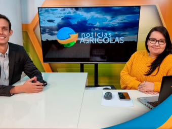 carla e mateus
