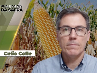 Celio-Colle