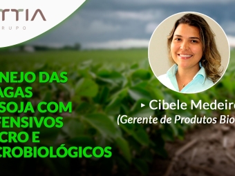 Cibele