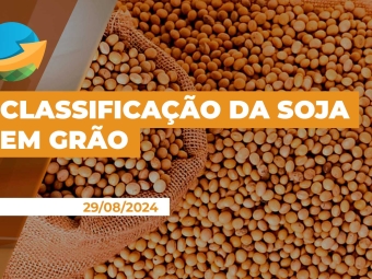comercialização