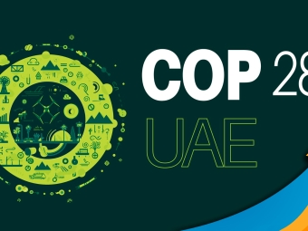 cop 28-