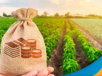 credito-rural