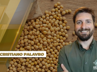 Cristiano-Palavro