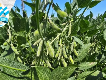 croptur