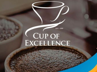 cup