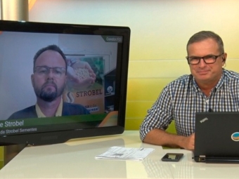 Fred e Jorge Strobel