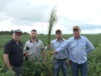 Buva no Paraguai - Transagro - 16:9
