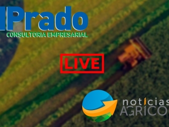 NA E MP live