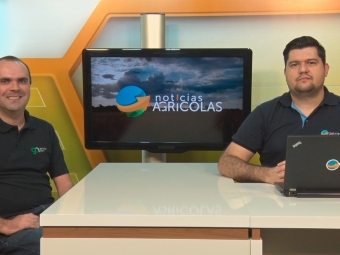 Guilherme Dorigatti e Flávio Marques