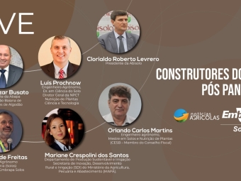 Construtores de solo capa