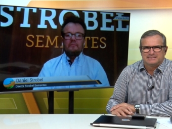Frederico Olivi e Daniel Strobel