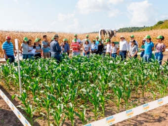 Programa Prospera da Corteva Agriscience