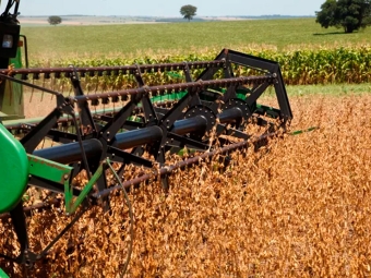 Colheita de soja 16:9