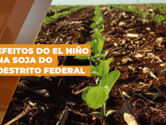 el nino do df