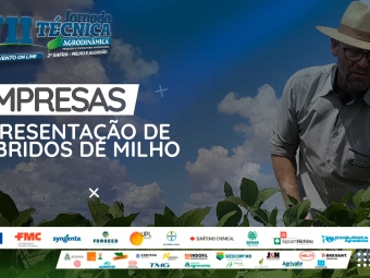 EMPRESAS-MILHO