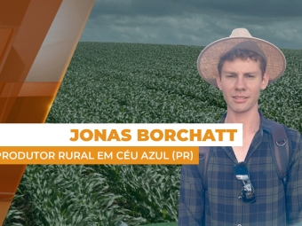 entrevista jonas site