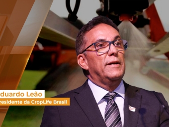 Entrevistas site