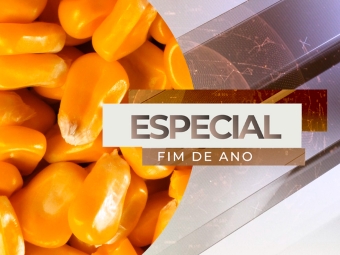 especial fim de ano milho