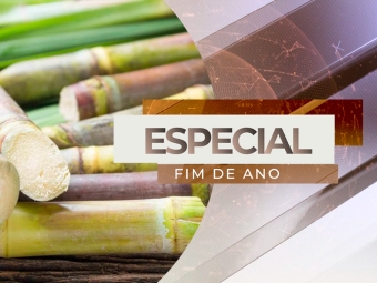especial fim de ano sucroenergetico cana