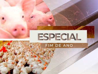 especial granjeiros