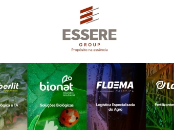 essere group