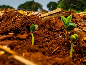 Plantio - Soja - solo - 16:9