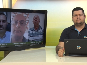 Realidades da Safra de soja no MT 29/01/2021