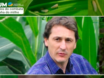 Ricardo Casa - Dr. em fitopatologia e professor CAV-UDESC