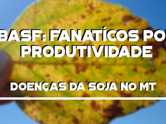 Fanaticos