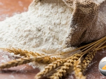 farinha-trigo-2