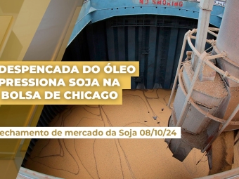 fecha-soja-08]