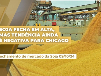 fecha-soja-09