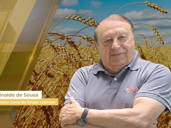 fecha soja site