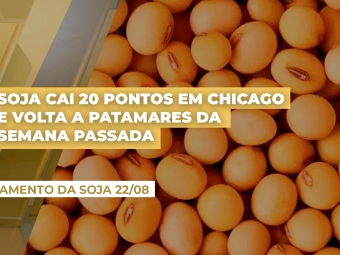 fechamento-22-08