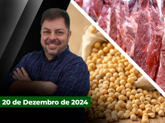fechamento-aleks-horta