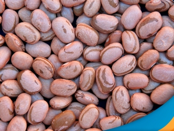 feijao