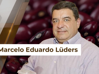 Feijão28 site