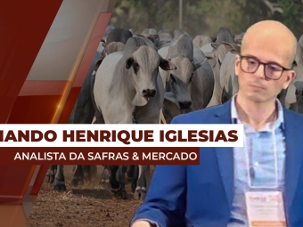fernando-destaque-site
