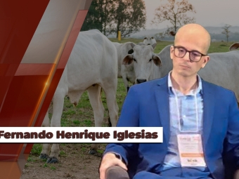 Fernando-Henrique-Iglesias